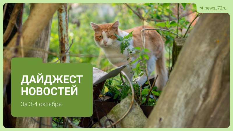 Фото поста канала  Новости Тюмени | 72.RU