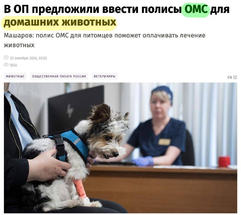 Фото поста канала  18+ BASTION Дурные вести. Новости, война, СВО, политика, геополитика, инсайды. Трамп, выборы в США.