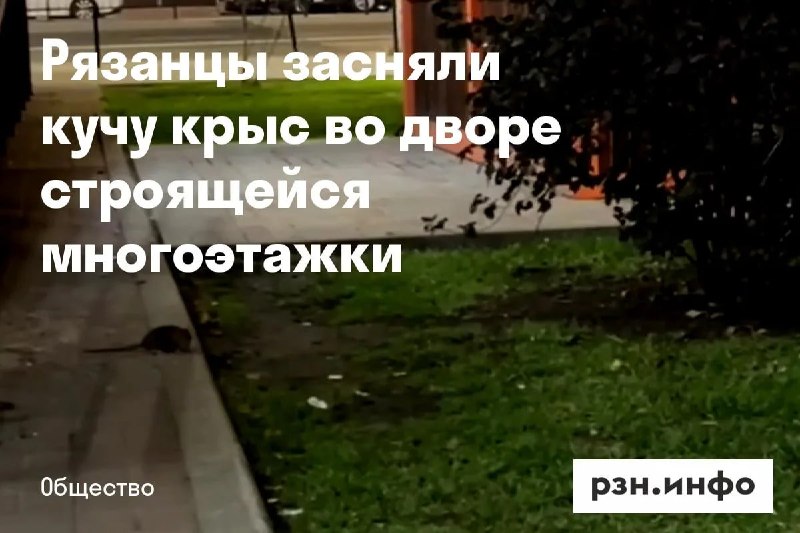 Фото поста канала  Новости Рязани • РЗН.инфо