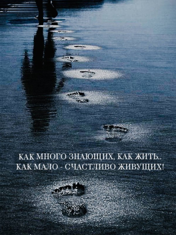 Фото поста канала МУДРОСТЬ 📚