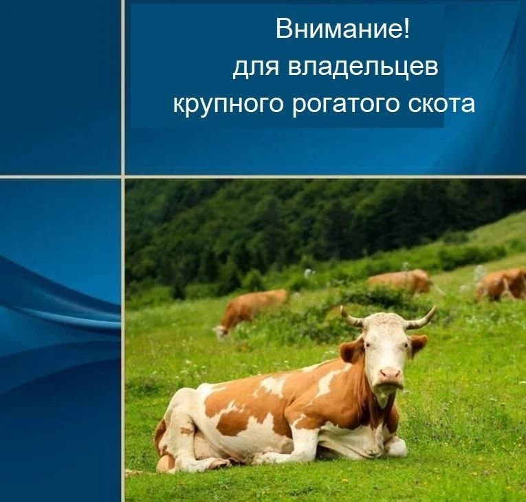 Фото поста канала  Октябрьский округ г. Иркутска