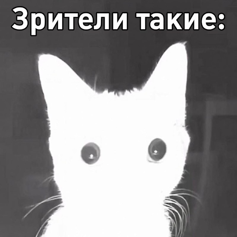 Фото поста канала ТОПОР - Горячие новости