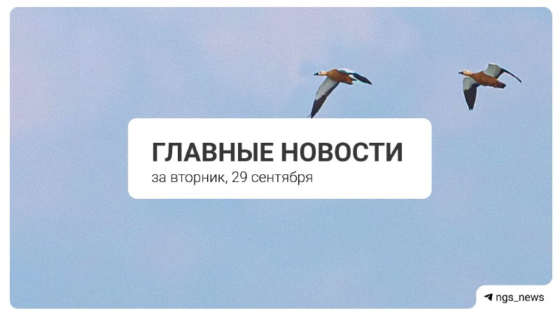 Фото поста канала НГС — новости Новосибирска