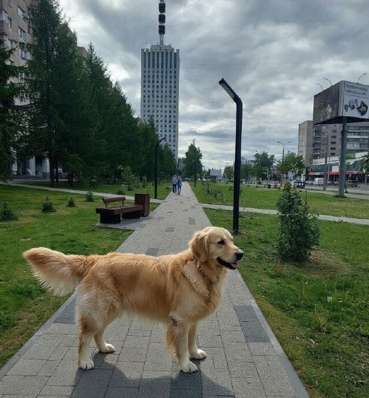 Фото поста канала  АрхДайджест