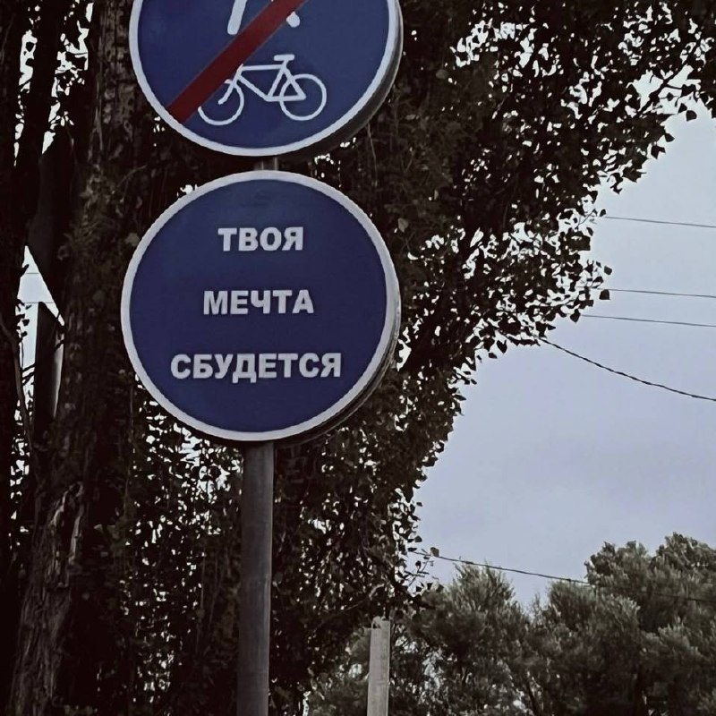 Фото поста канала  Москва сейчас