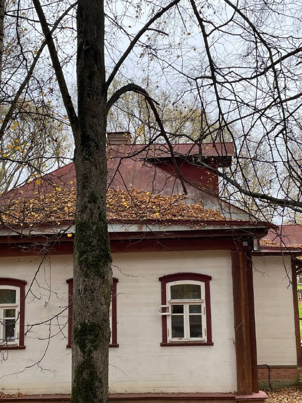 Фото поста канала  Бати читают новости