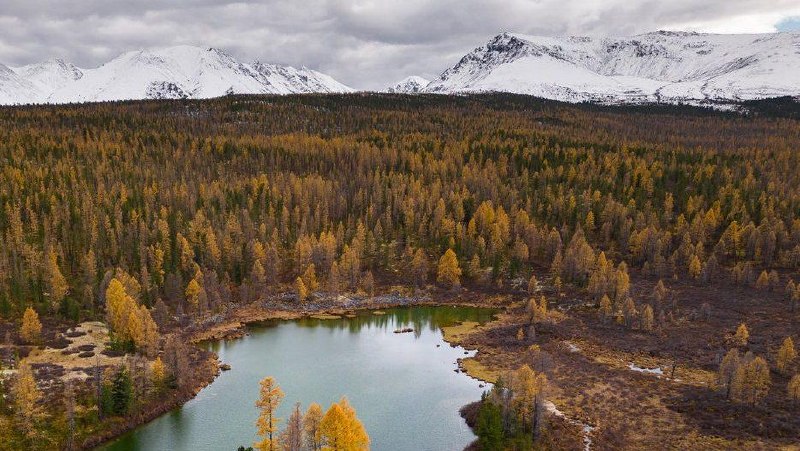 Фото поста канала  Подслушкa | ЧП ТЫВА