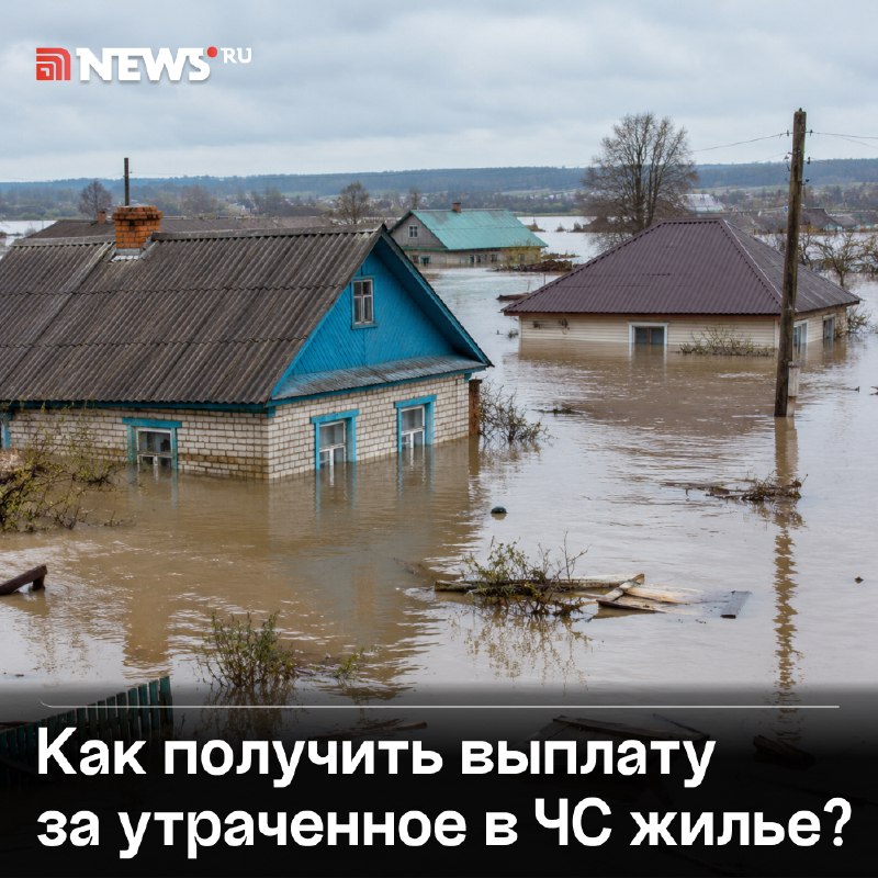 Фото поста канала  NEWS.ru | Новости