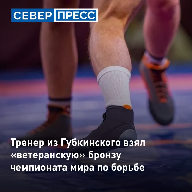 Фото поста канала  Мониторинг 89 Ямало-Ненецкий АО