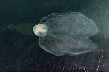 Фото поста канала  Лента Новостей