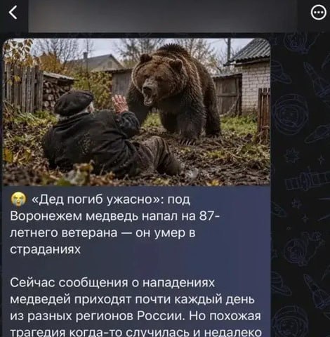 Фото поста канала  Большой воронежский
