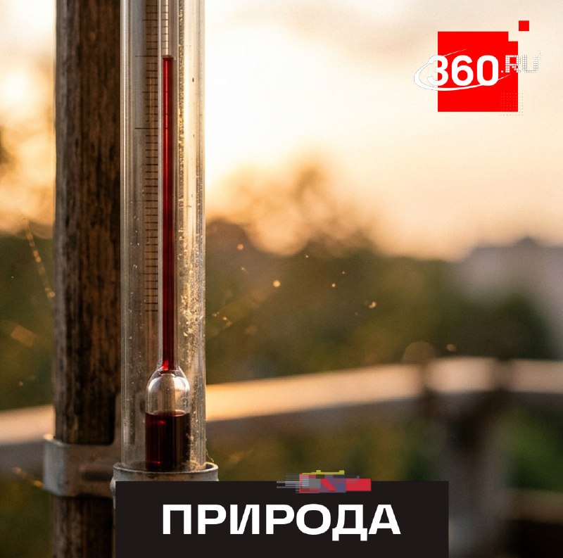 Фото поста канала  360.ru