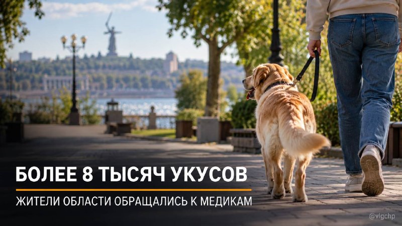 Фото поста канала  Волгоград