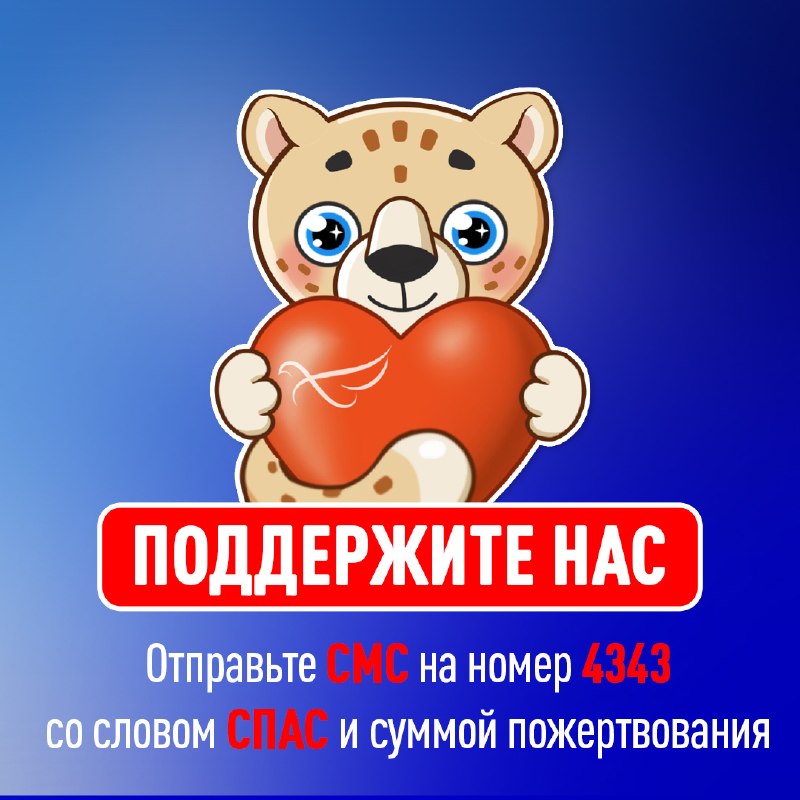 Фото поста канала  Телеканал СПАС