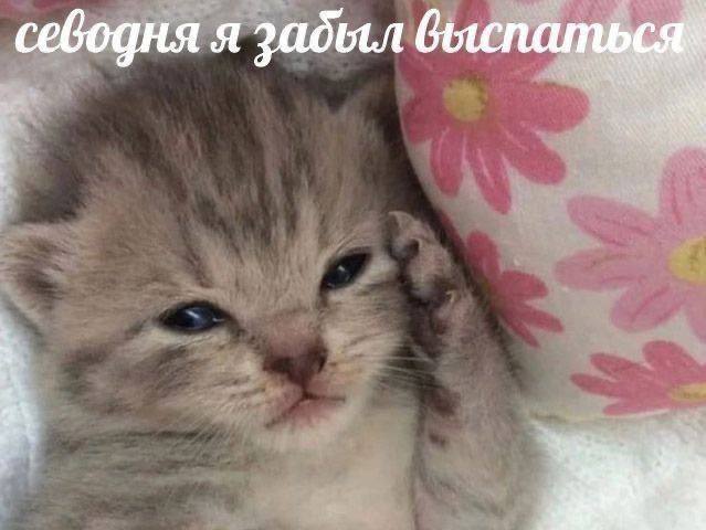 Фото поста канала  Типичный Воронеж | Новости Воронежа
