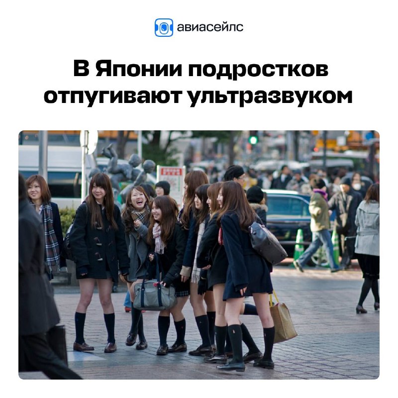 Фото поста канала Авиасейлс