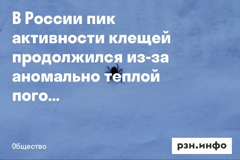 Фото поста канала  Новости Рязани • РЗН.инфо