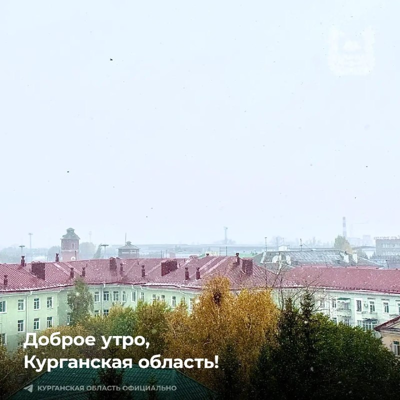 Фото поста канала  Мониторинг 45 Курганская область