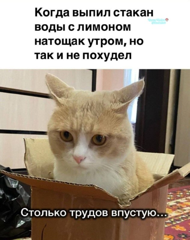 Фото поста канала  Ходють тут всякие!🍄