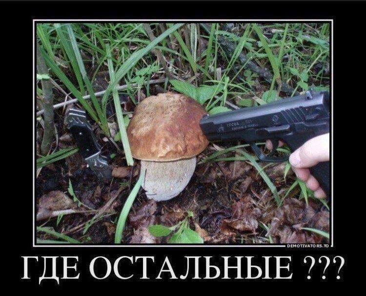 Фото поста канала  Мониторинг 45 Курганская область