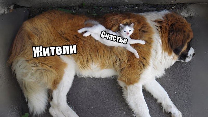 Фото поста канала  ОБЫЧНЫЙ СТАВРОПОЛЬ