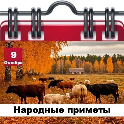 Фото поста канала  Жесть Шебекино