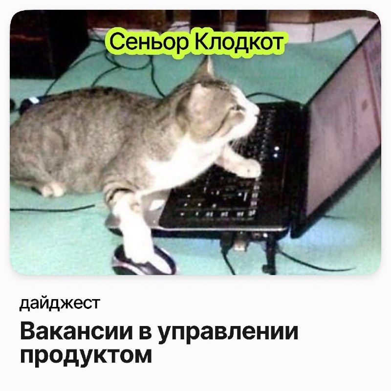 Фото поста канала careerspace