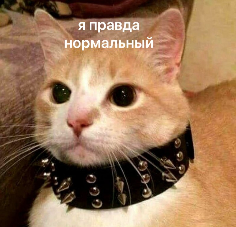 Фото поста канала  Москва сегодня