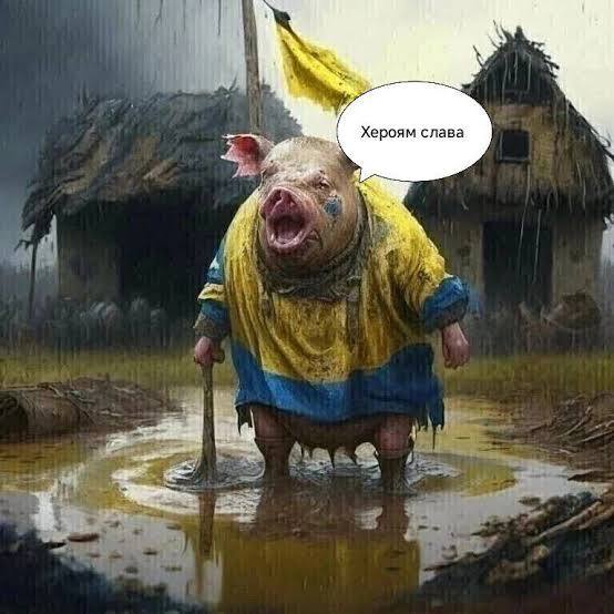 Фото поста канала  Rogandar NEWs: Новости, факты, события!