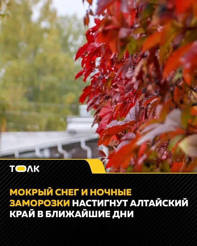 Фото поста канала  "ЛИСток". Новости Республики Алтай