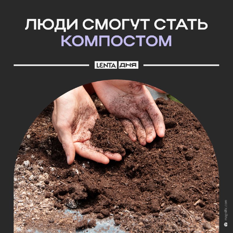 Фото поста канала Лента дня