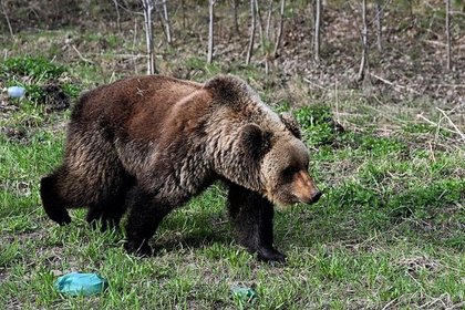 Фото поста канала  Лента Новостей