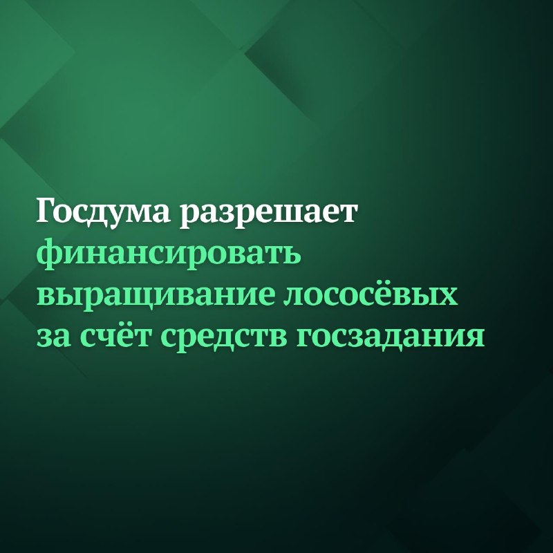 Фото поста канала Дума ТВ