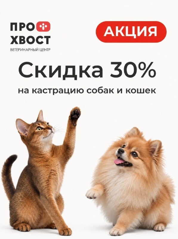 Фото поста канала  ES! - канал Евгения Серкина