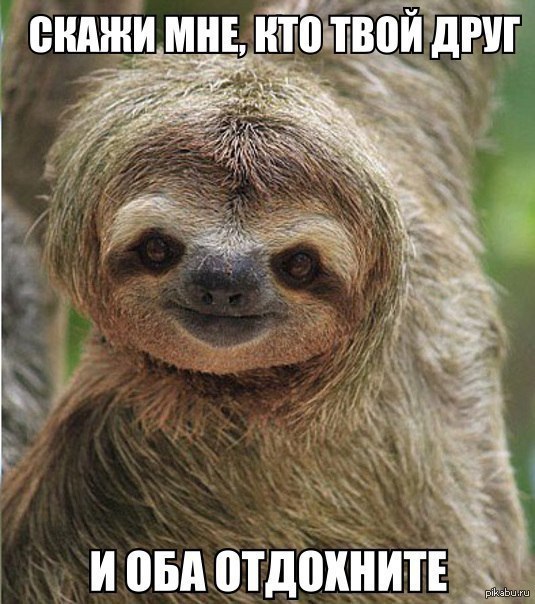 Фото поста канала  Не баг, а фича