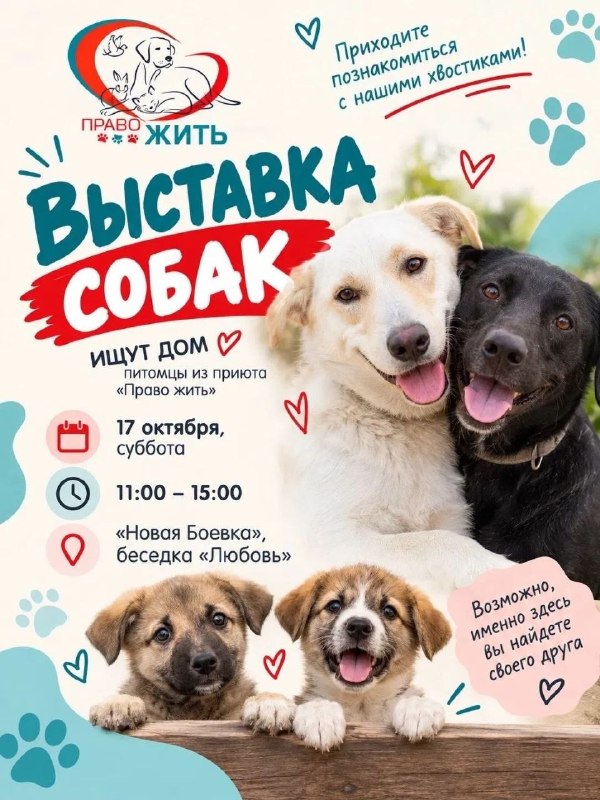 Фото поста канала  Инцидент Курск