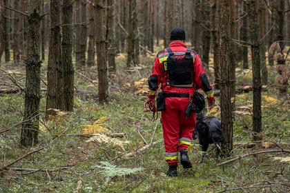 Фото поста канала  Лента Новостей