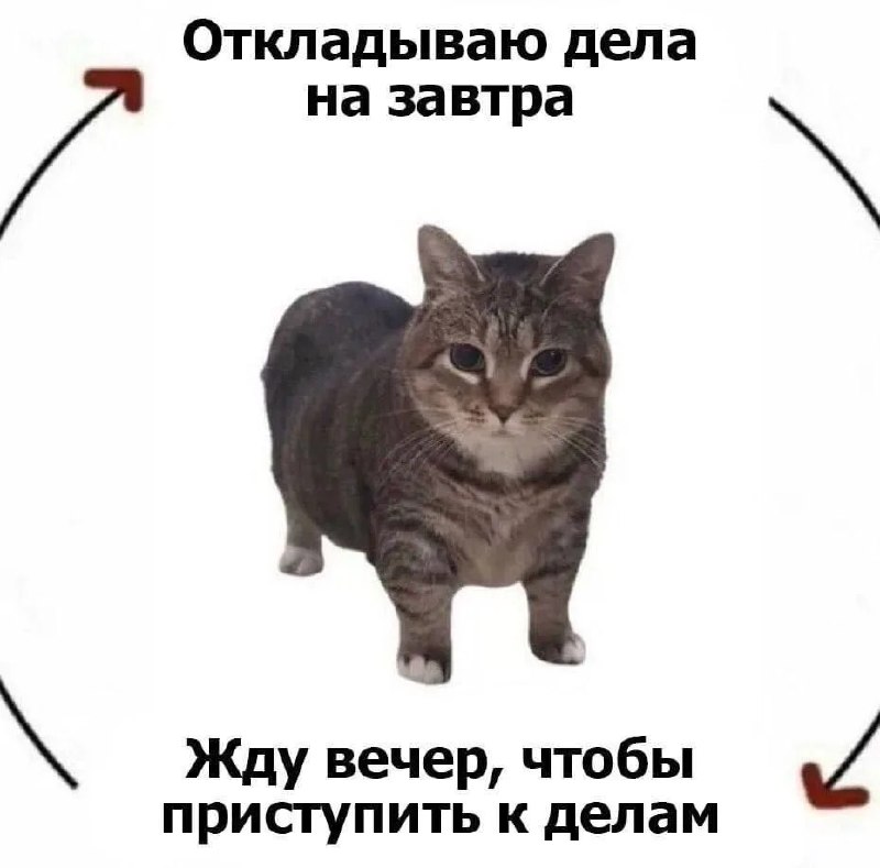 Фото поста канала  ИА ЛАБЫТНАНГИ
