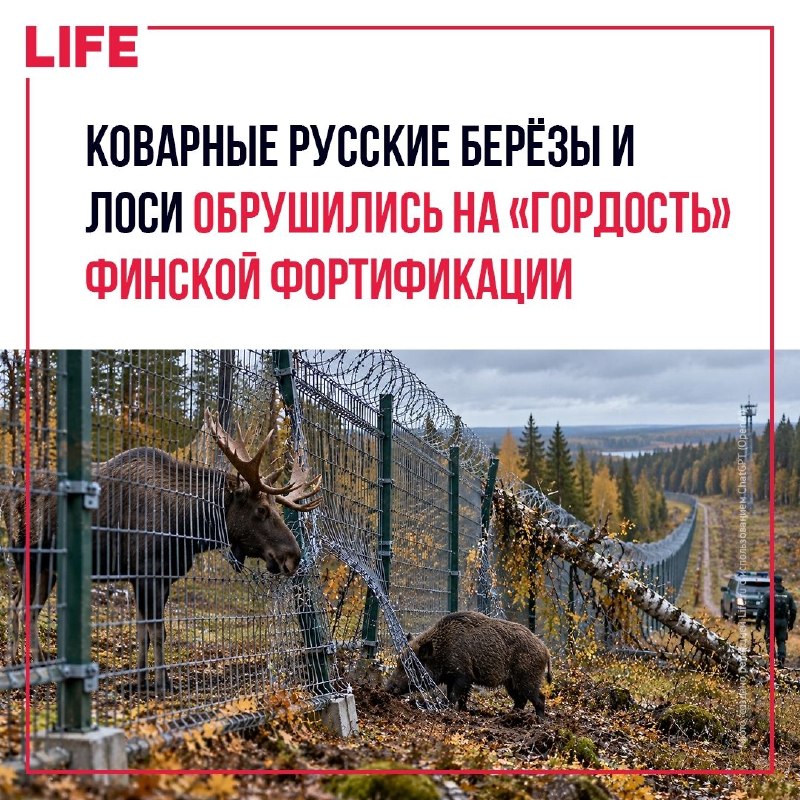 Фото поста канала  Теперь знаешь