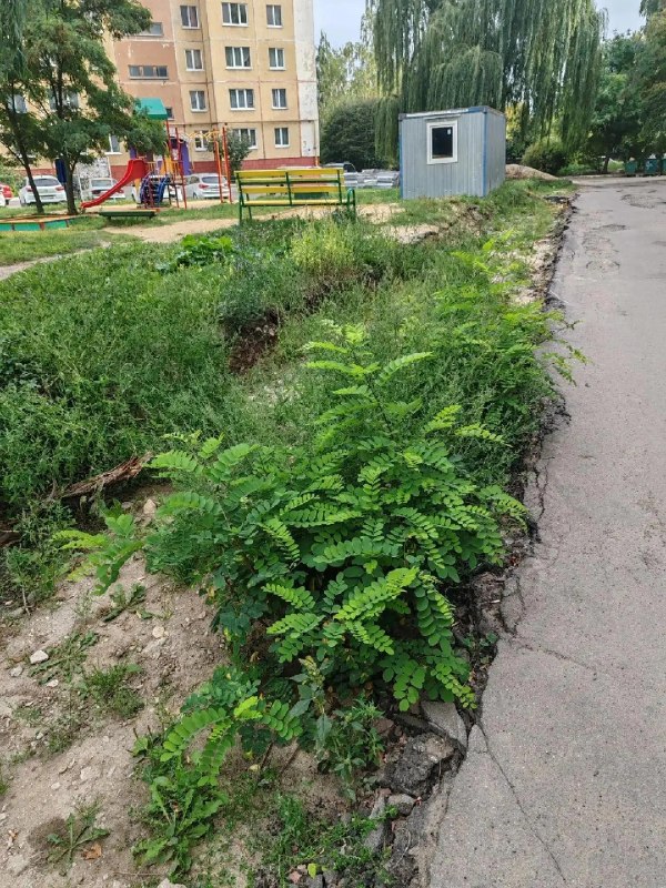 Фото поста канала  ГОРОД ОРЁЛ 🦅