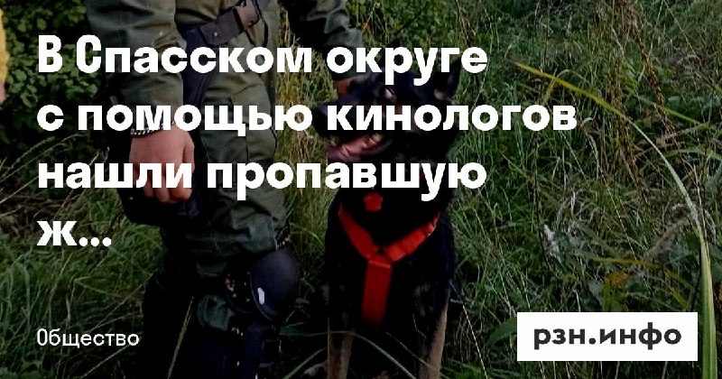 Фото поста канала  Новости Рязани • РЗН.инфо