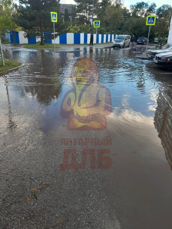 Фото поста канала ЯНТАРНЫЙ ДЛБ (Калининград)
