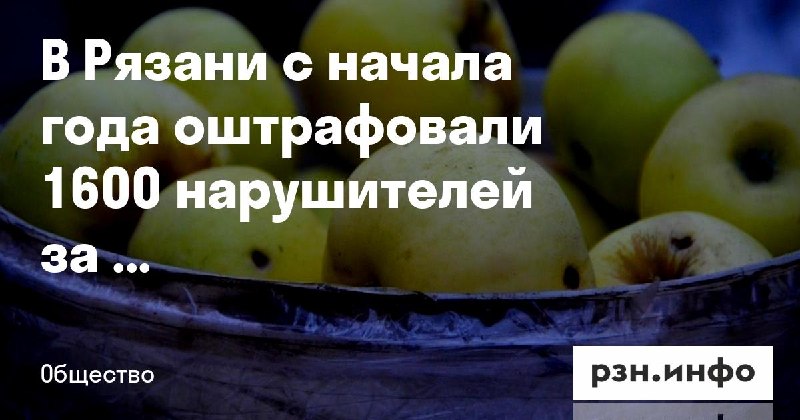 Фото поста канала  Новости Рязани • РЗН.инфо