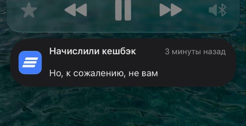 Фото поста канала натуральный маркетинг