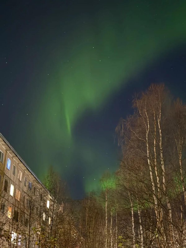 Фото поста канала  Арина Бородина