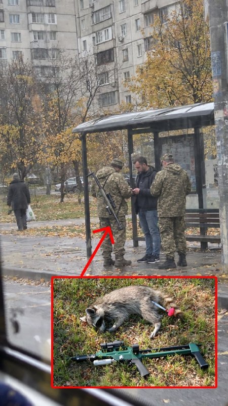 Фото поста канала  Гагаузская Республика