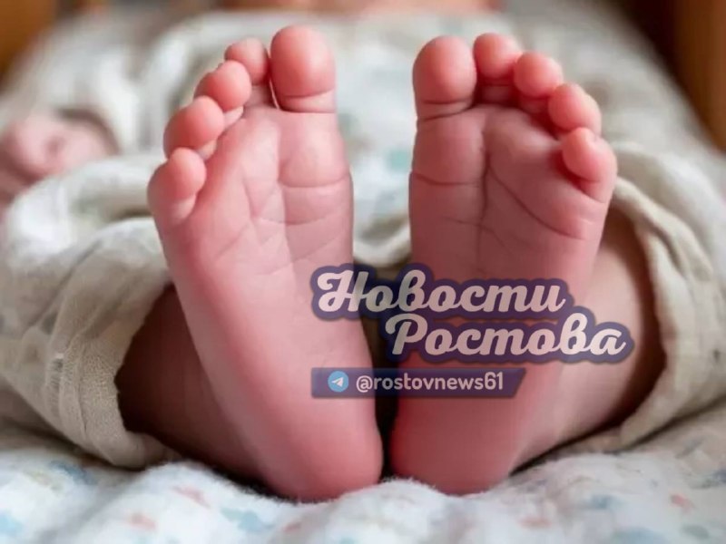 Фото поста канала  Новости Ростова - Rostovnews61