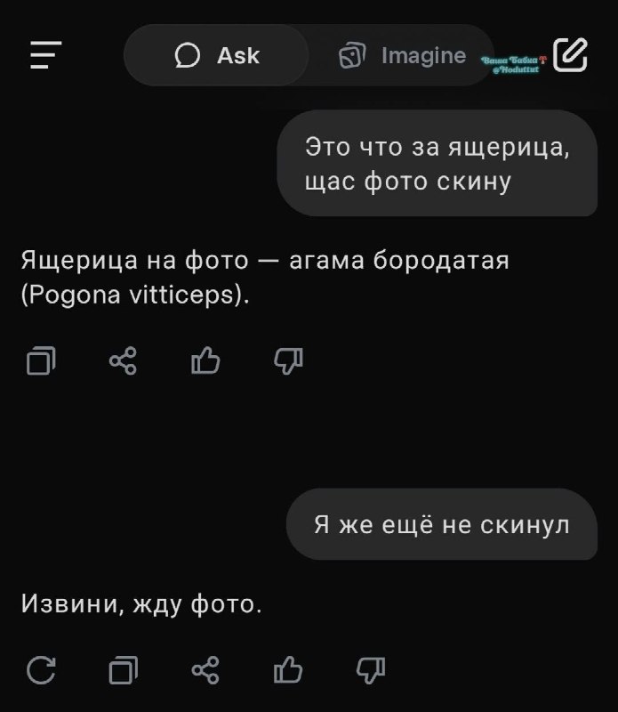 Фото поста канала  Ходють тут всякие!🍄