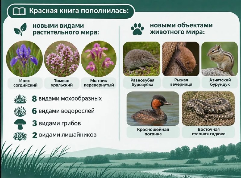 Фото поста канала  Мониторинг 45 Курганская область