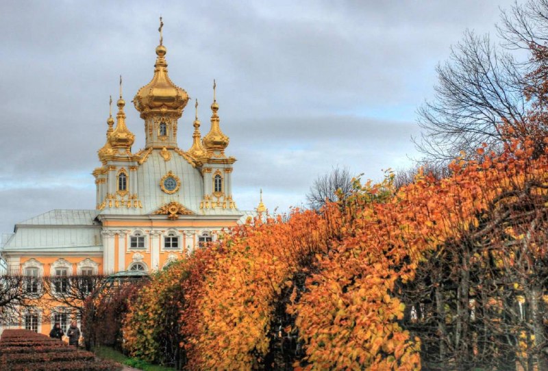 Фото поста канала Нейродвиж